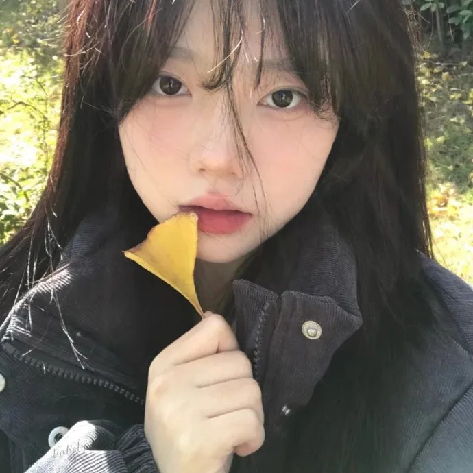 追爱谎言