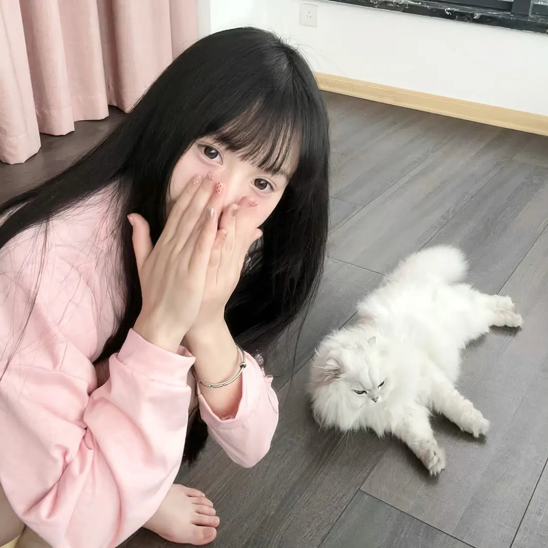 妙探乌龙记